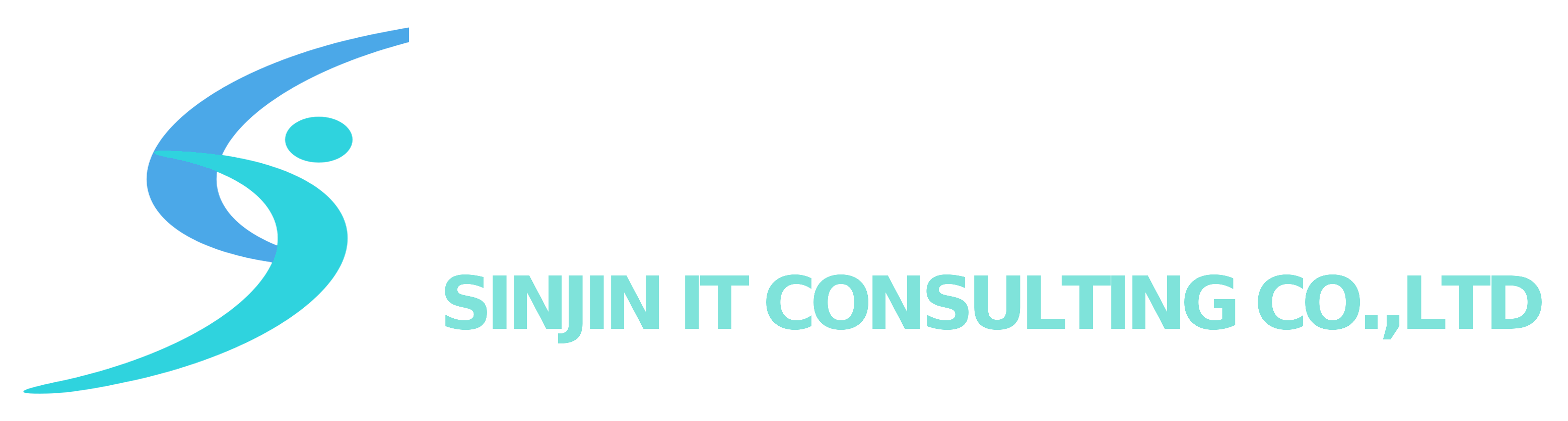 (주)신진아이티컨설팅 SINJIN IT CONSULTING CO.,LTD